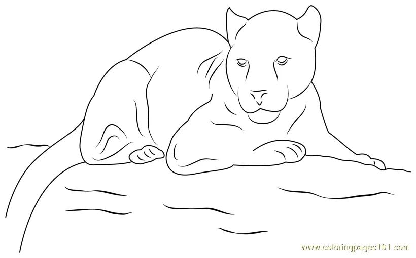 Panther look coloring page free panther coloring pages