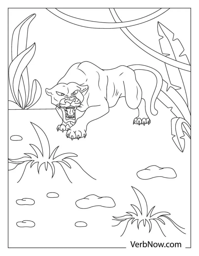 Free panther coloring pages for download printable pdf