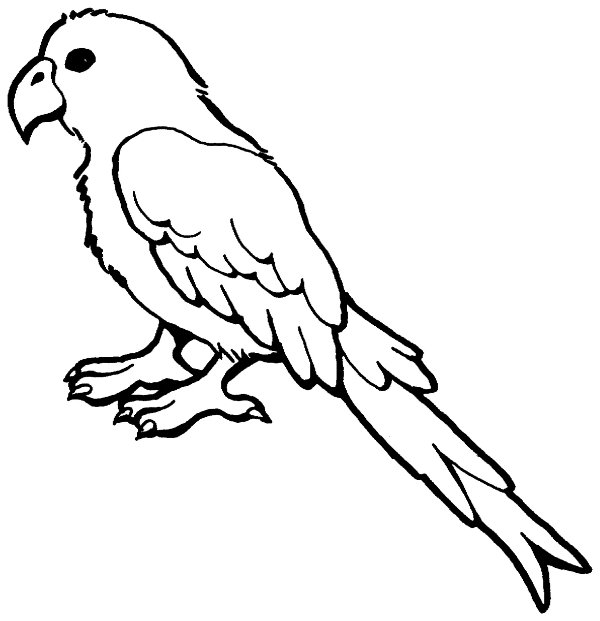 Free parrot and macaw coloring pages printable coloring page