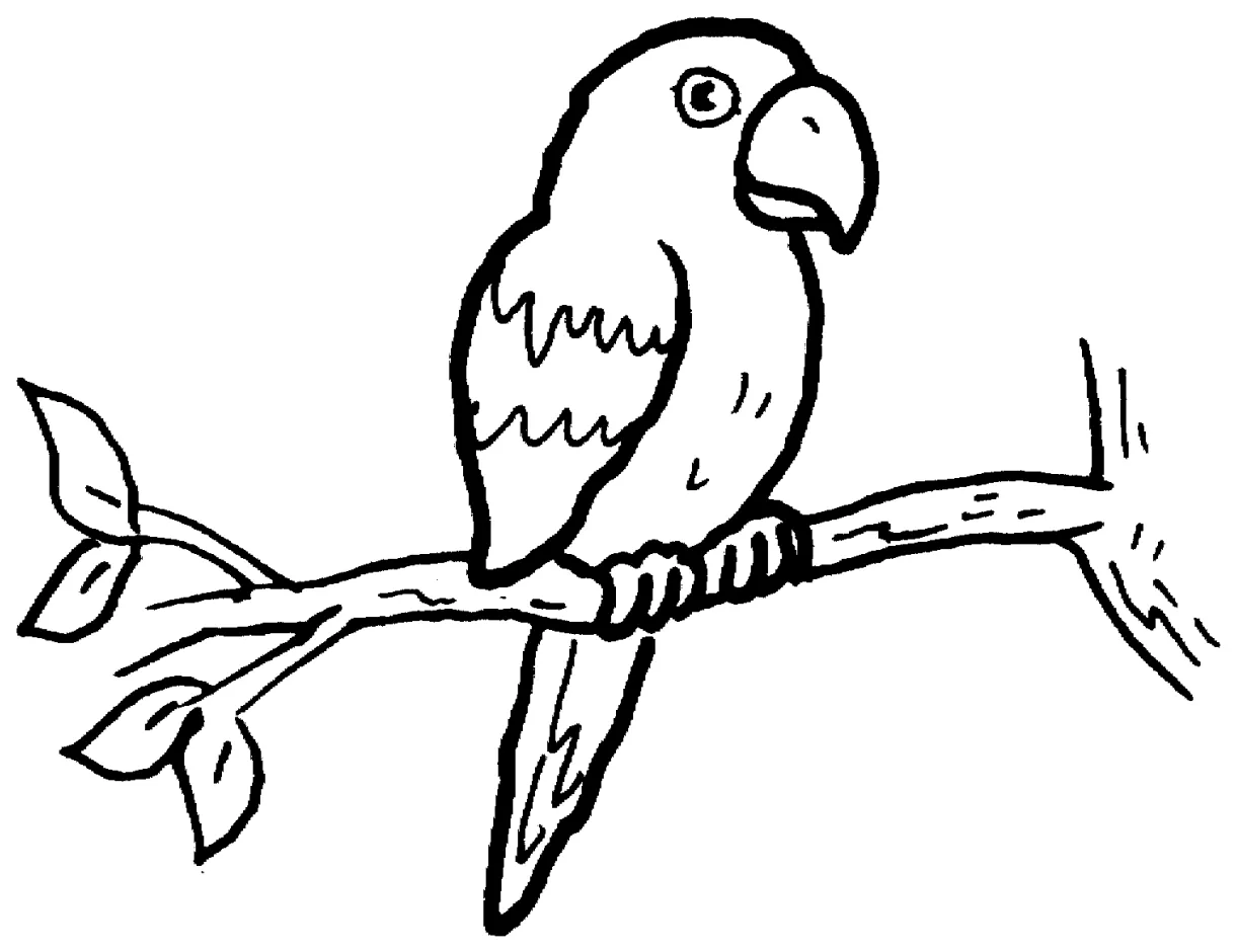 Free parrot and macaw coloring pages