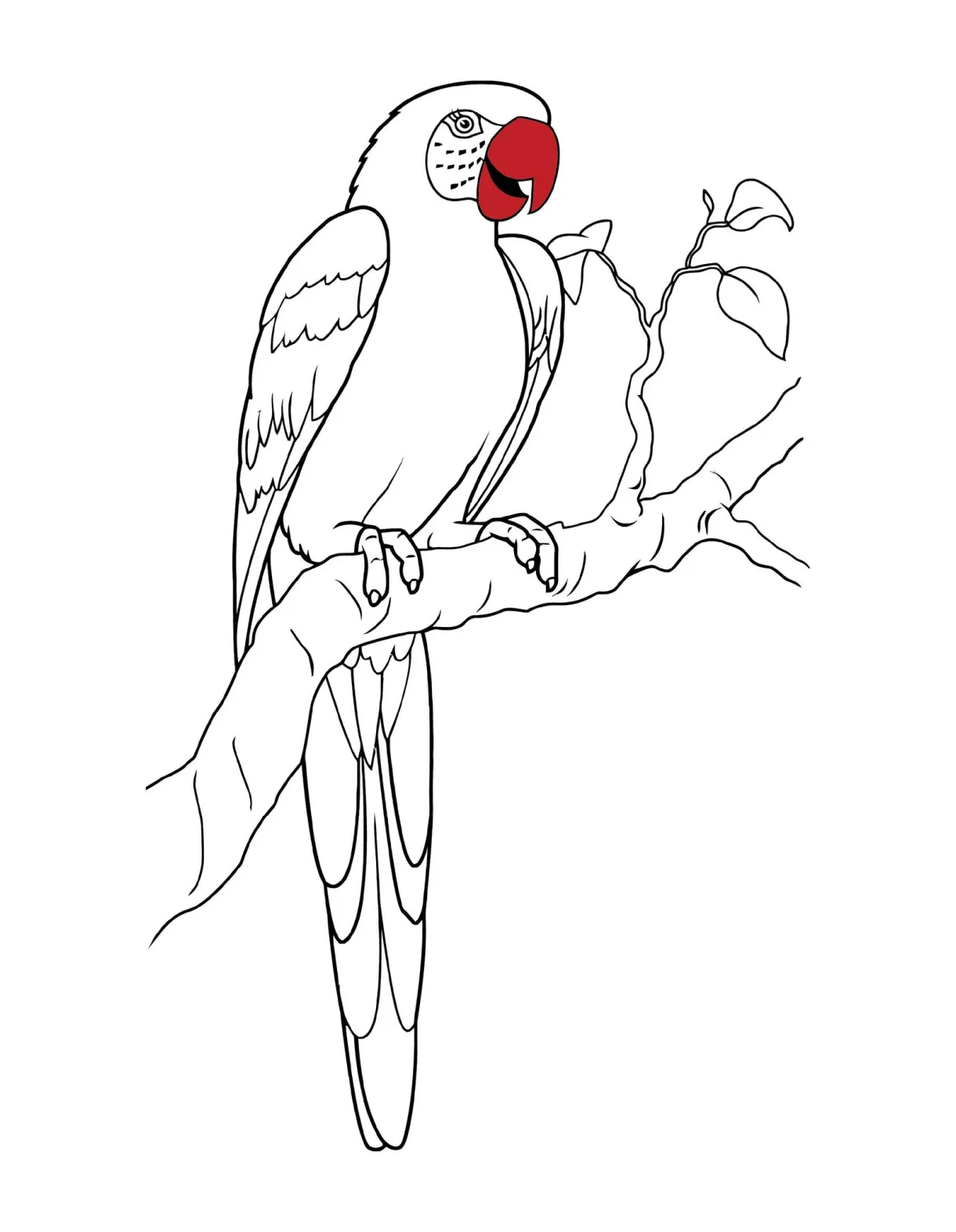 Printable parrot bird coloring page for kids