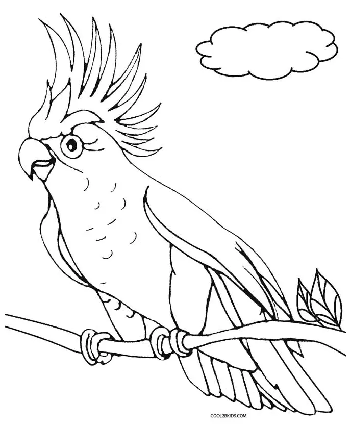 Printable s for kids cool2bkids