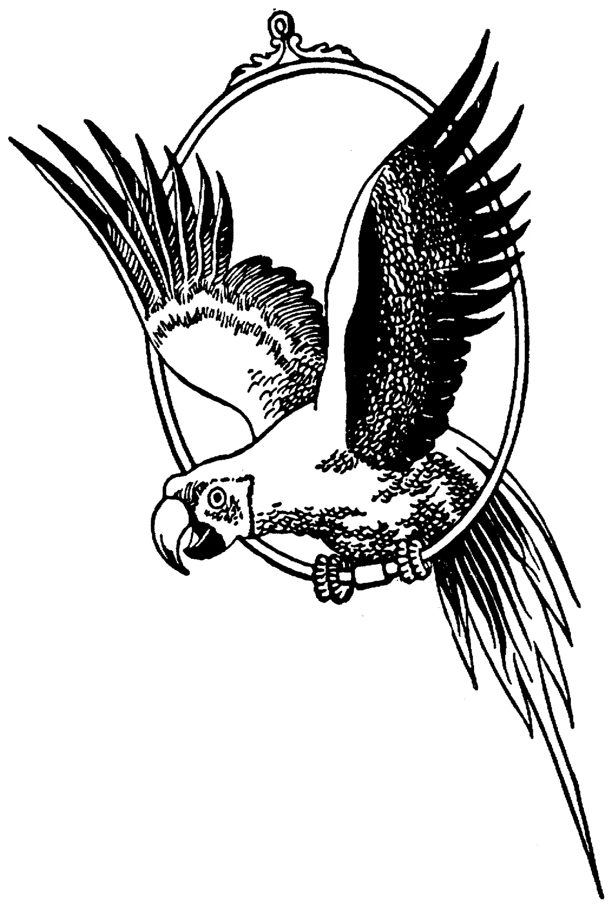 S printable coloring pages. free