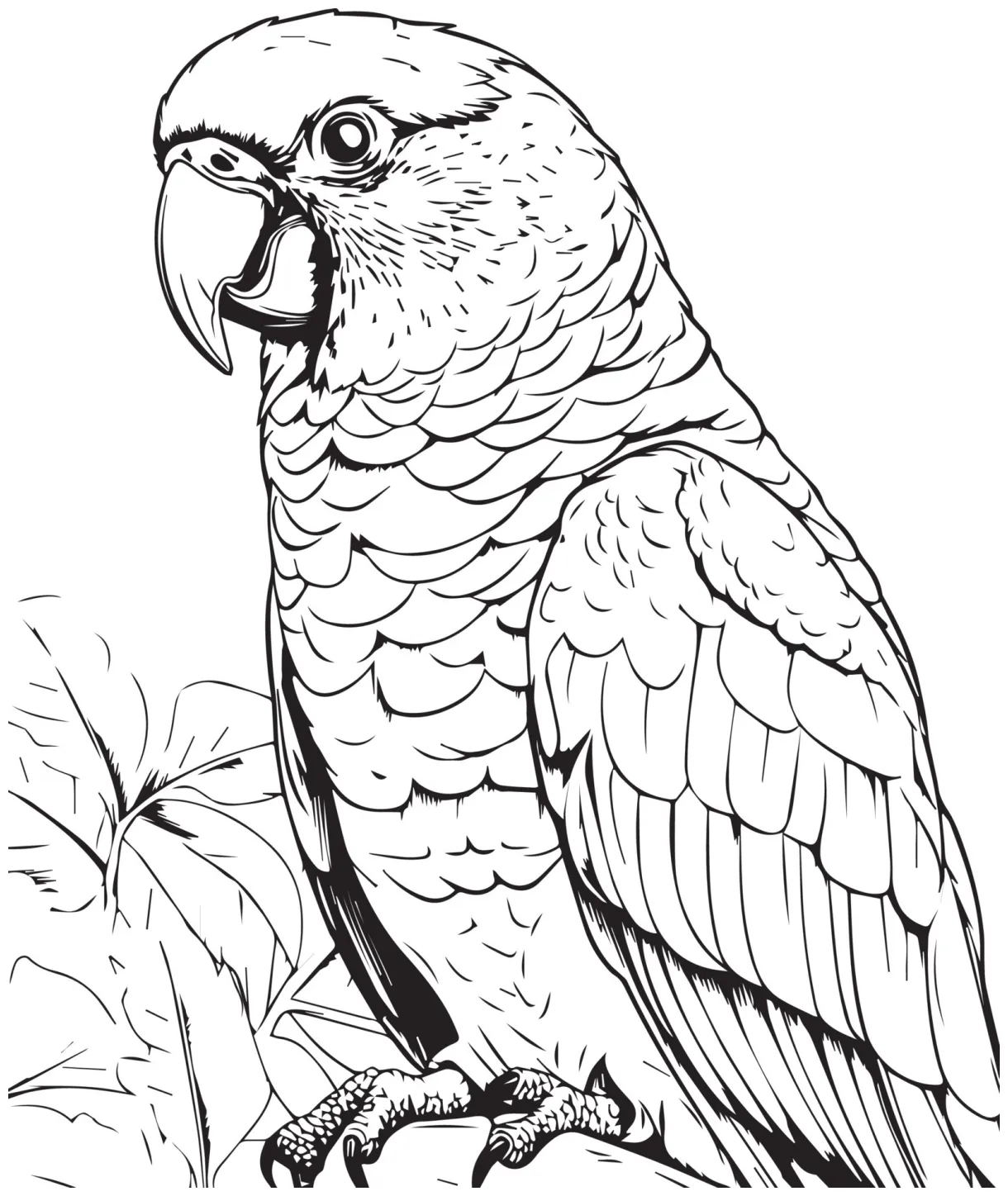 Parrot bird illustration, cute parrot coloring page for kids and adult