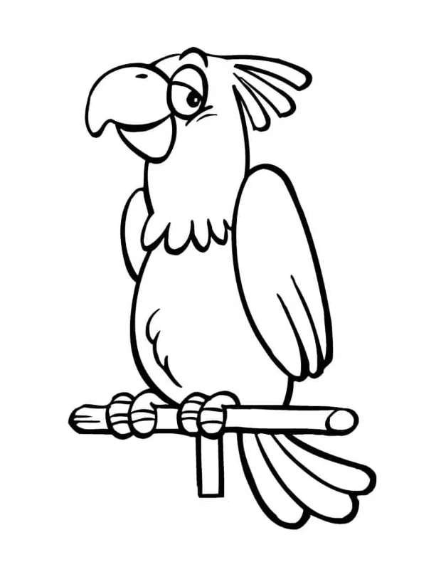 Cartoon parrot coloring page download, print or color online for free printable coloring page