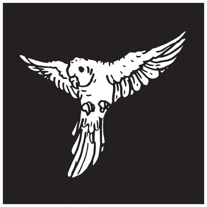 Parrot coloring page vector art, icons, and graphics for