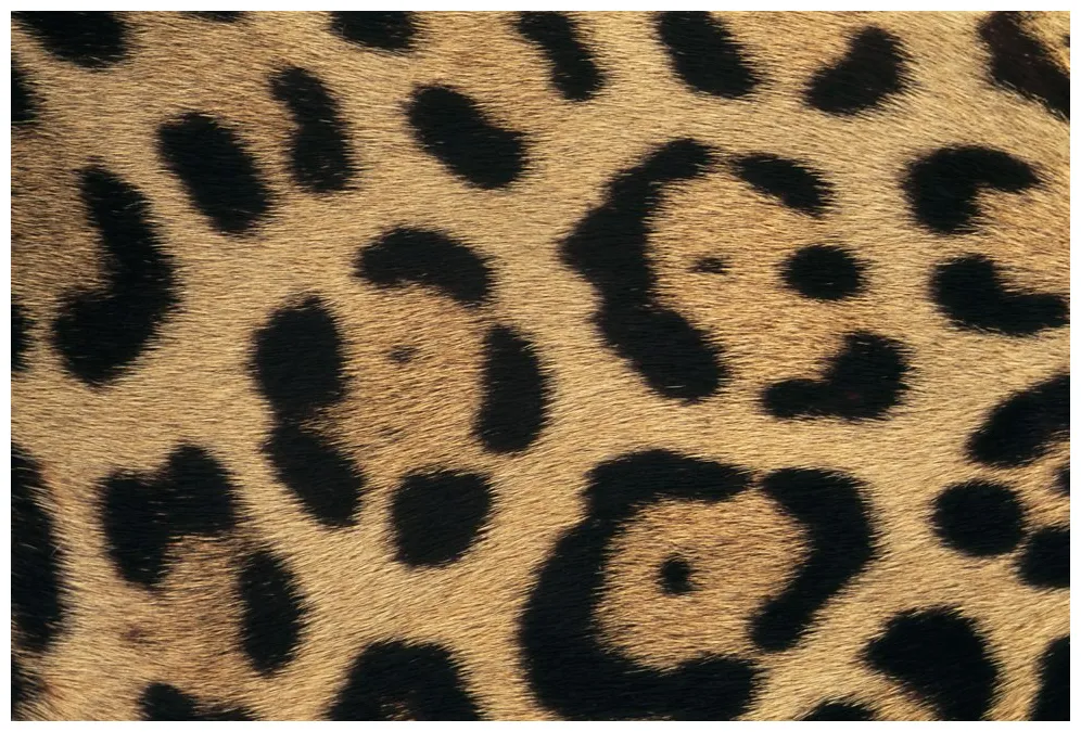 What is a pattern? pattern higher art and design revision bbc