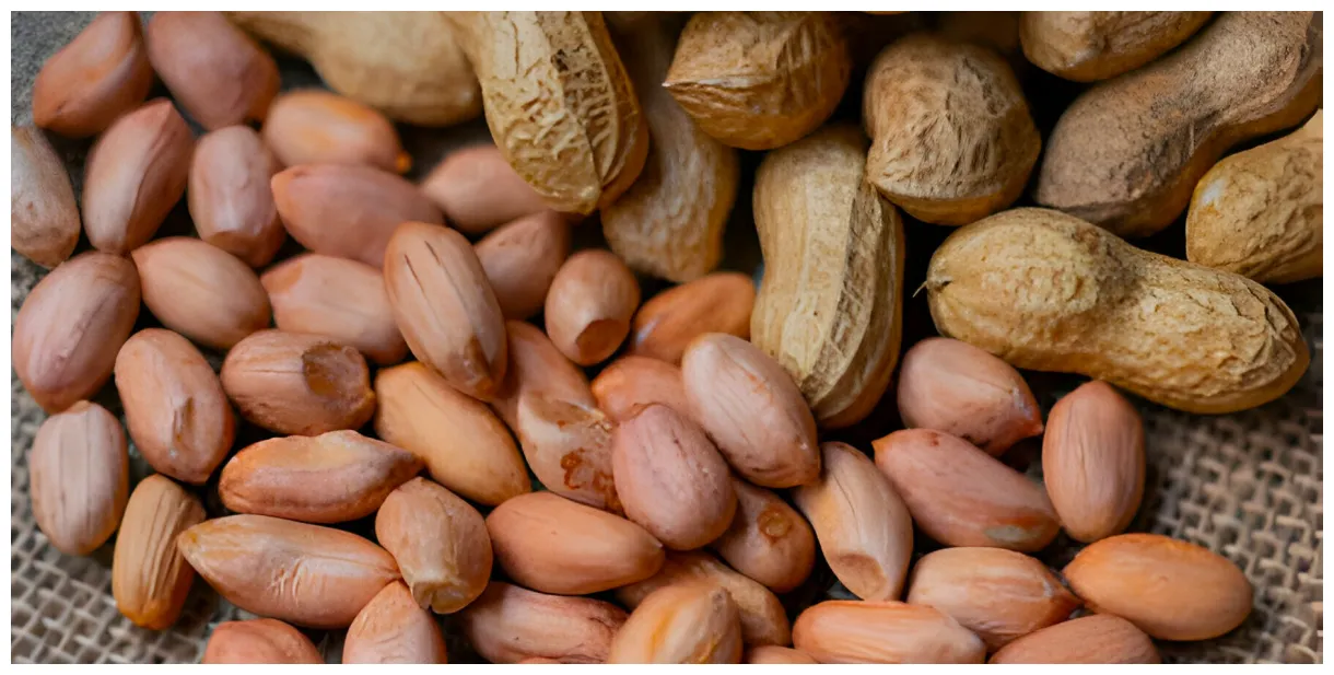 Peanuts facts, nutrition, benefits, & more healthnormal