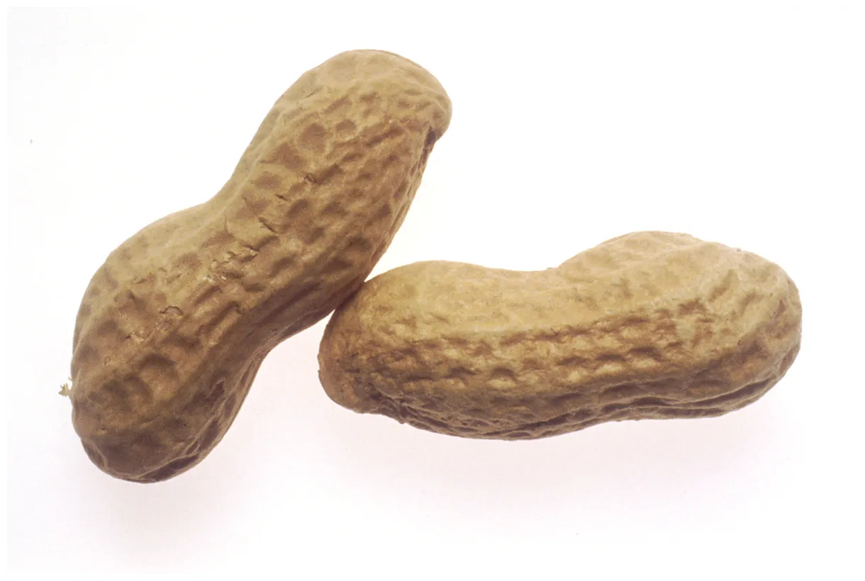 File peanuts 1 g wikimedia commons