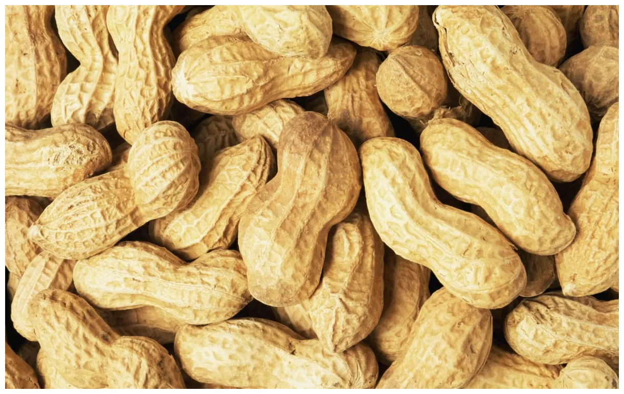 Buy peanuts online best peanuts uk maven wholefoods printable coloring page