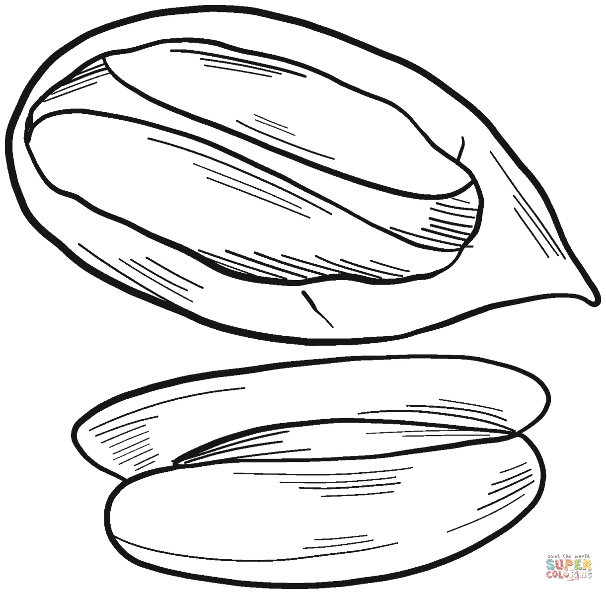 Pecan coloring page free printable coloring pages