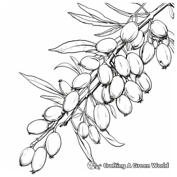Pecan coloring pages free & printable!