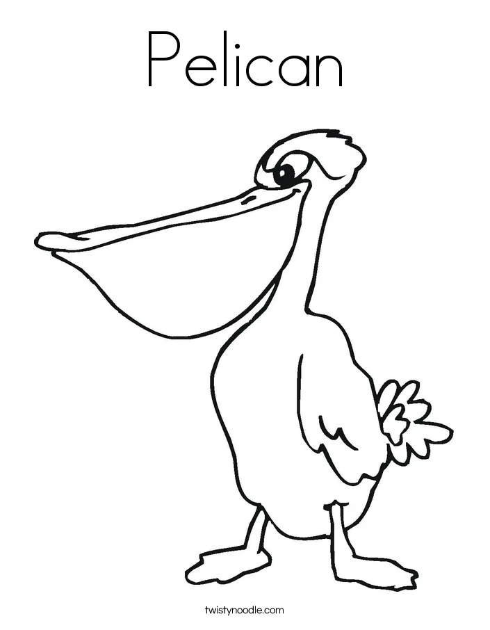 Pelican Coloring Page - Twisty Noodle