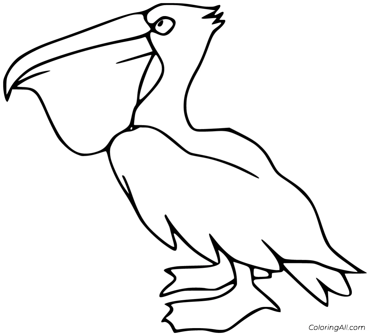 Pelican Coloring Pages (33 Free Printables) - ColoringAll