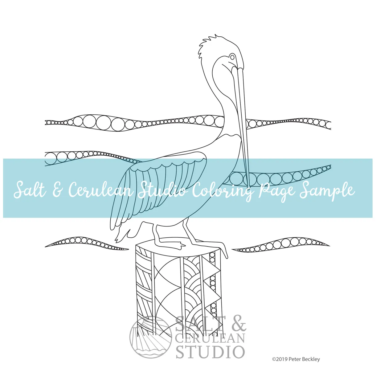 Pelican coloring page salt & cerulean studio