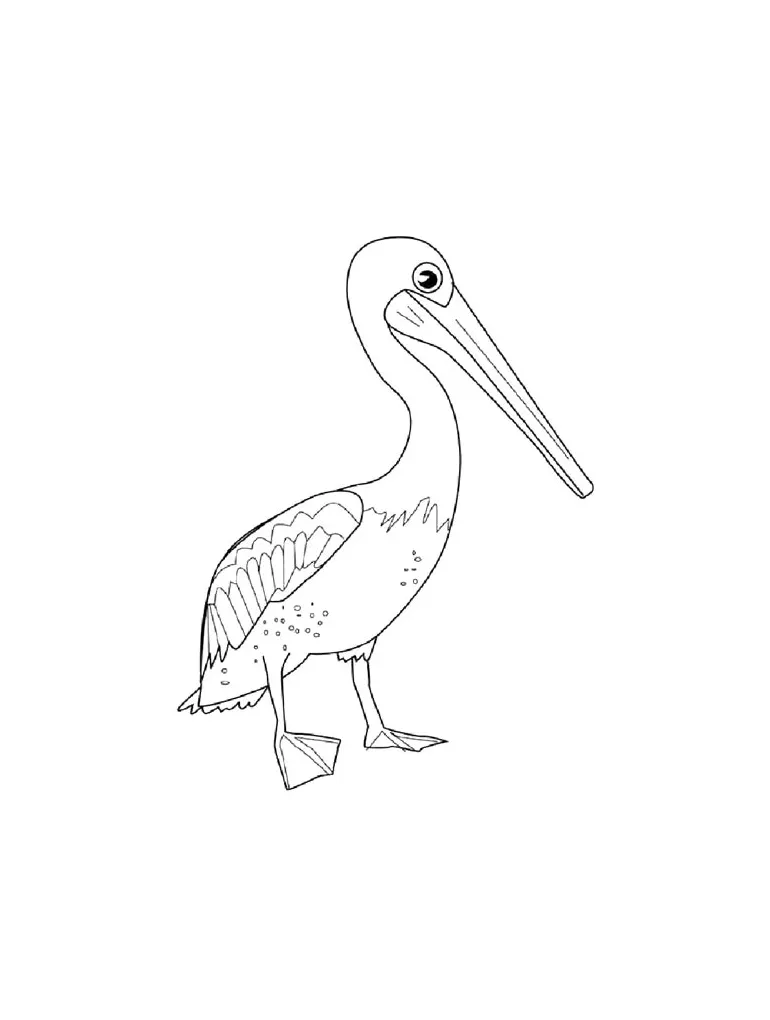 Pelican coloring pages
