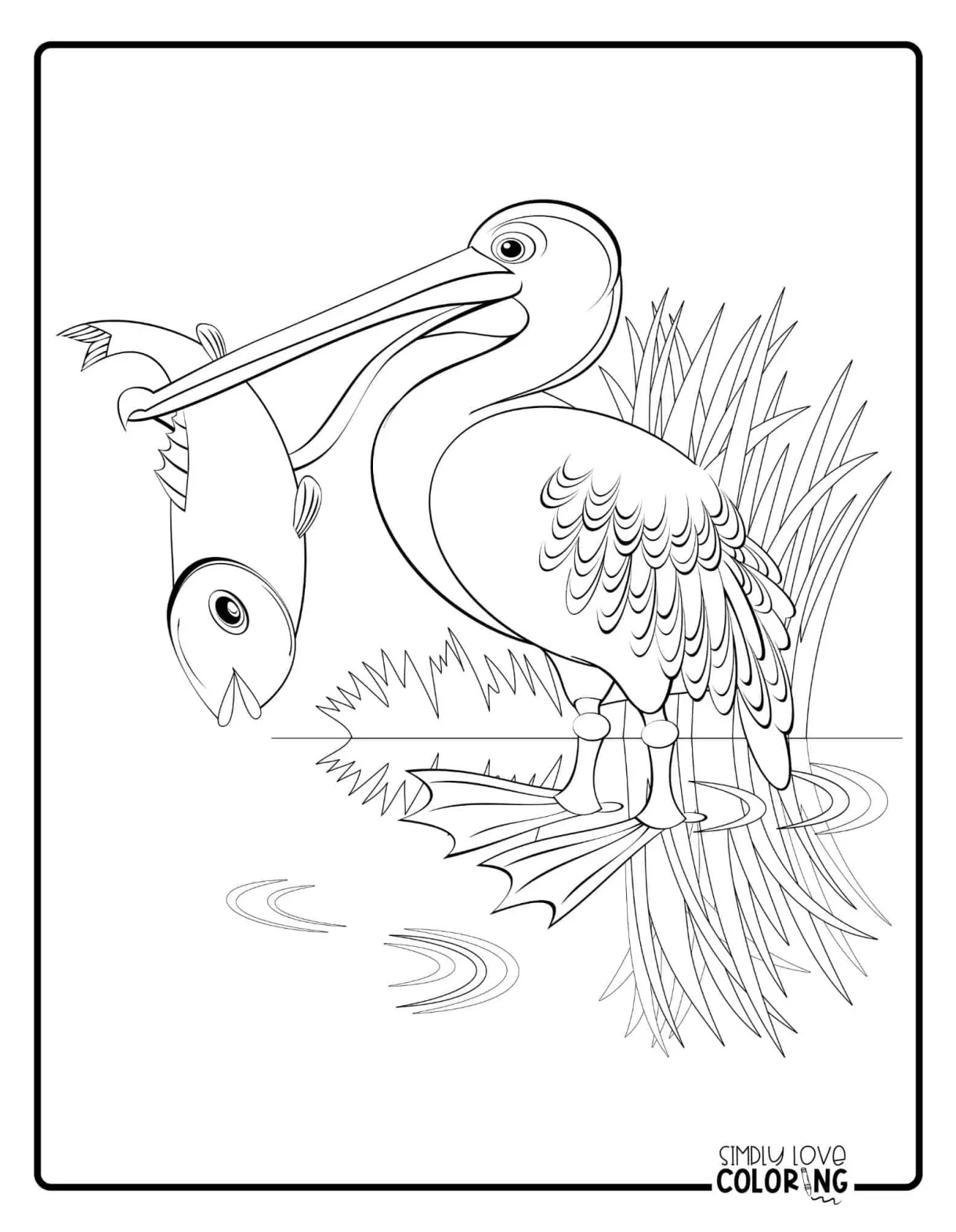 Pelican coloring pages free pdf printables simply love coloring