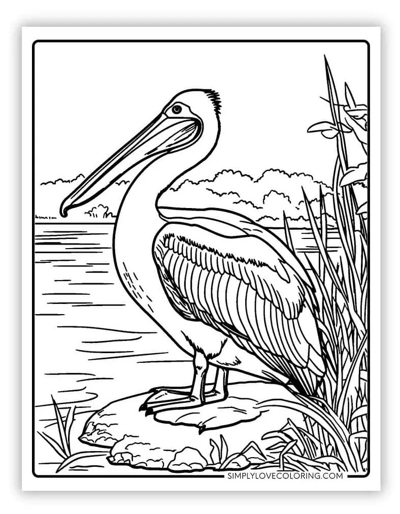 Pelican coloring pages free pdf printables simply love coloring