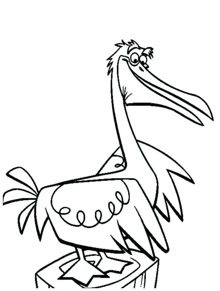 Pelican coloring pages at getcolorings free printable colorings