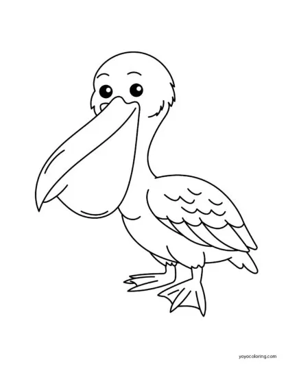 Pelican coloring pages ᗎ printable painting template