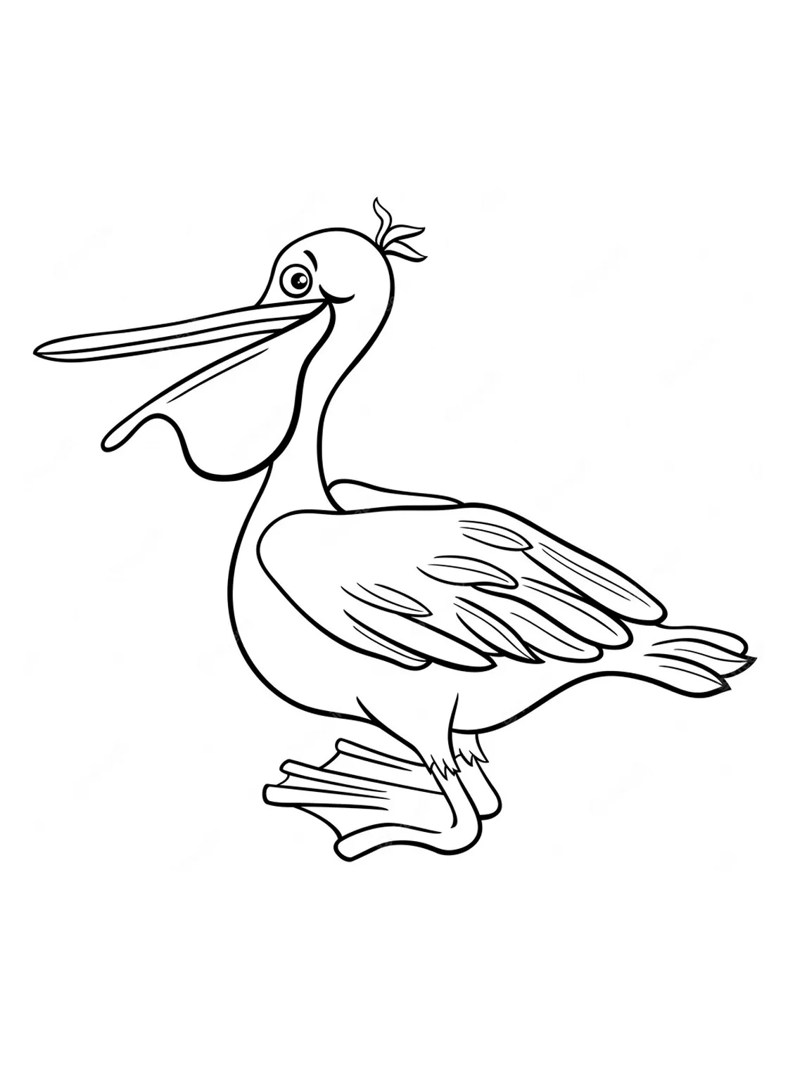 Easy cute pelican coloring page free printable coloring pages printable coloring page
