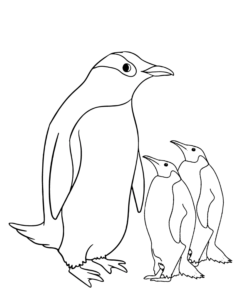 Penguin coloring pages