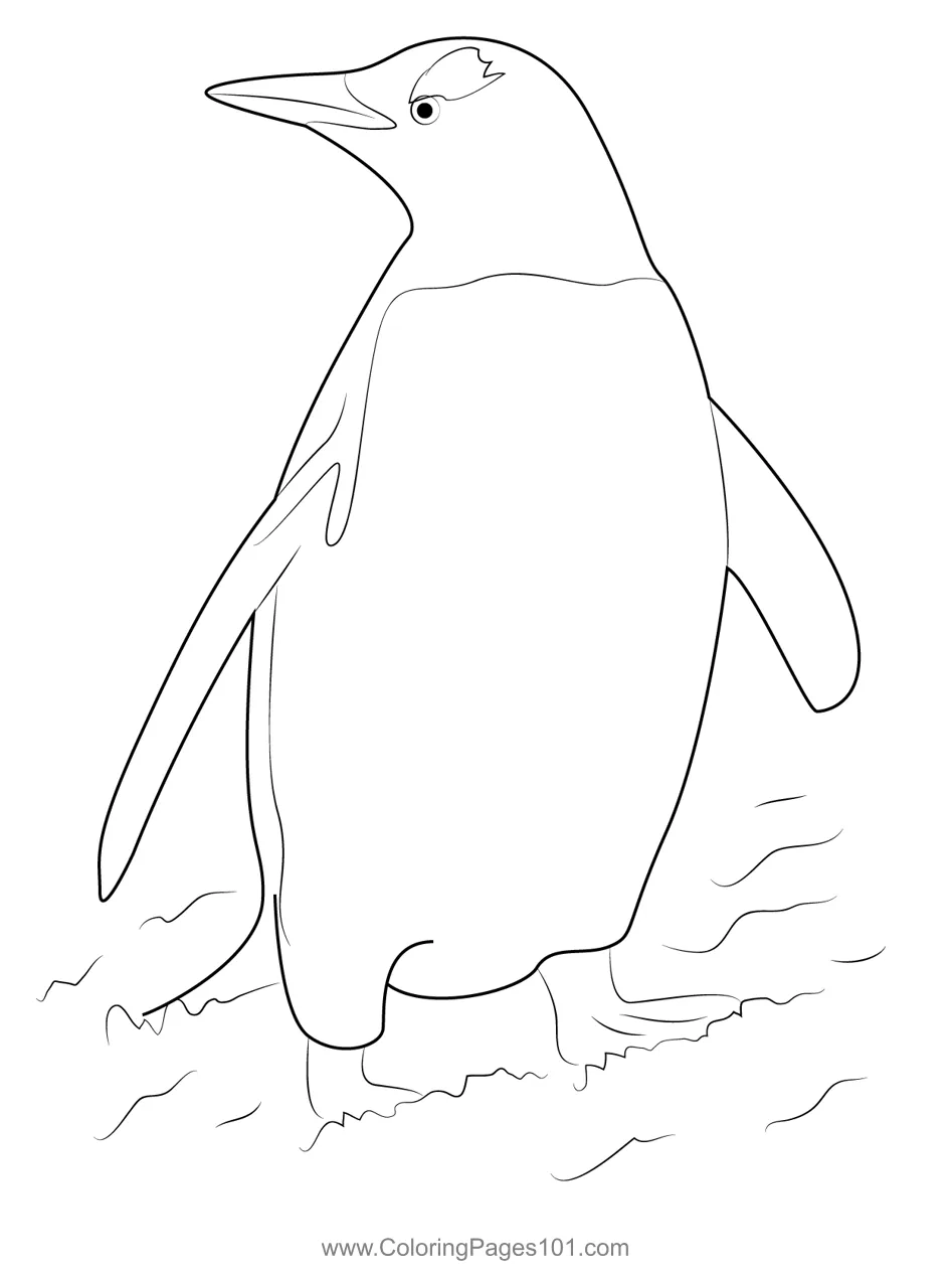 Gentoo Penguin Coloring Page for Kids - Free Penguins Printable