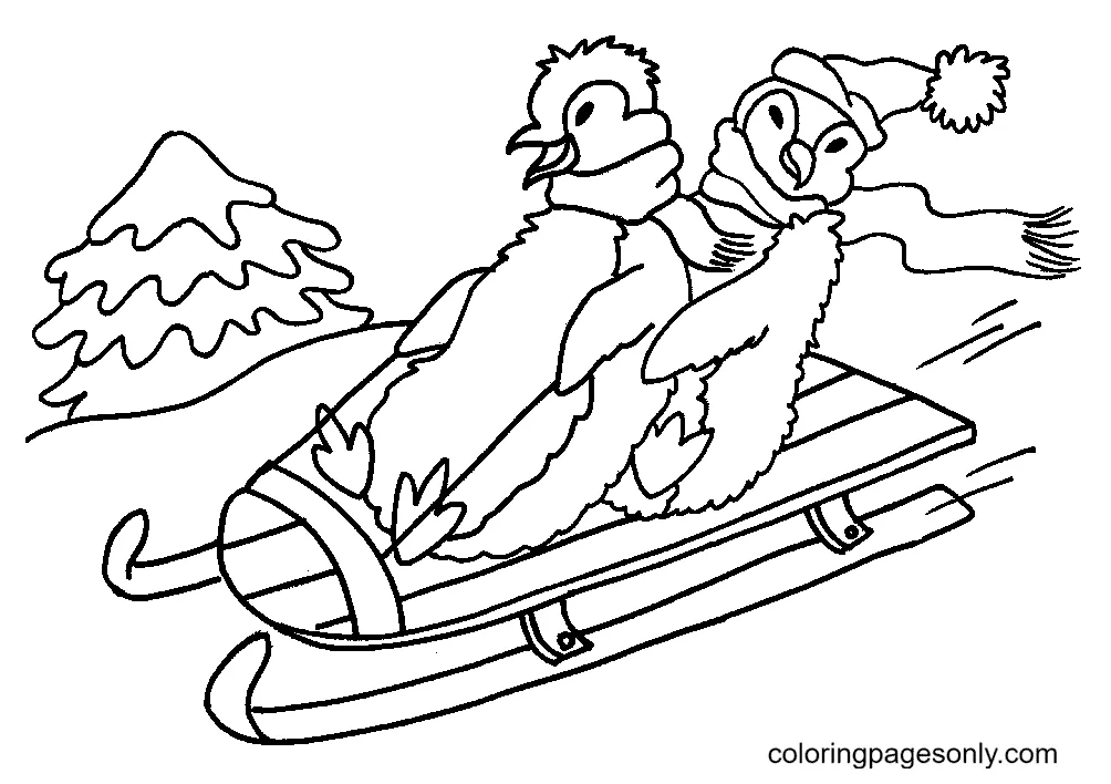 Penguin coloring pages coloring pages for kids and adults
