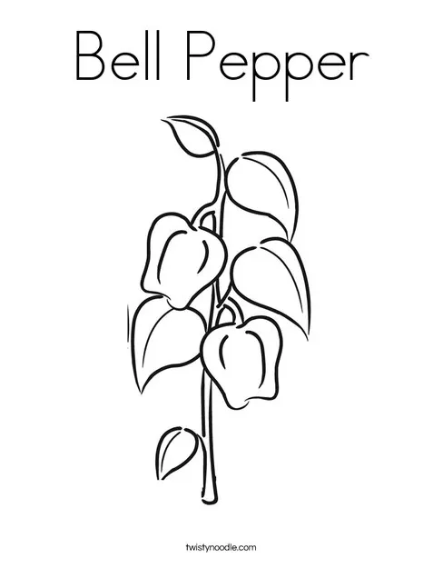 Bell pepper coloring page twisty noodle