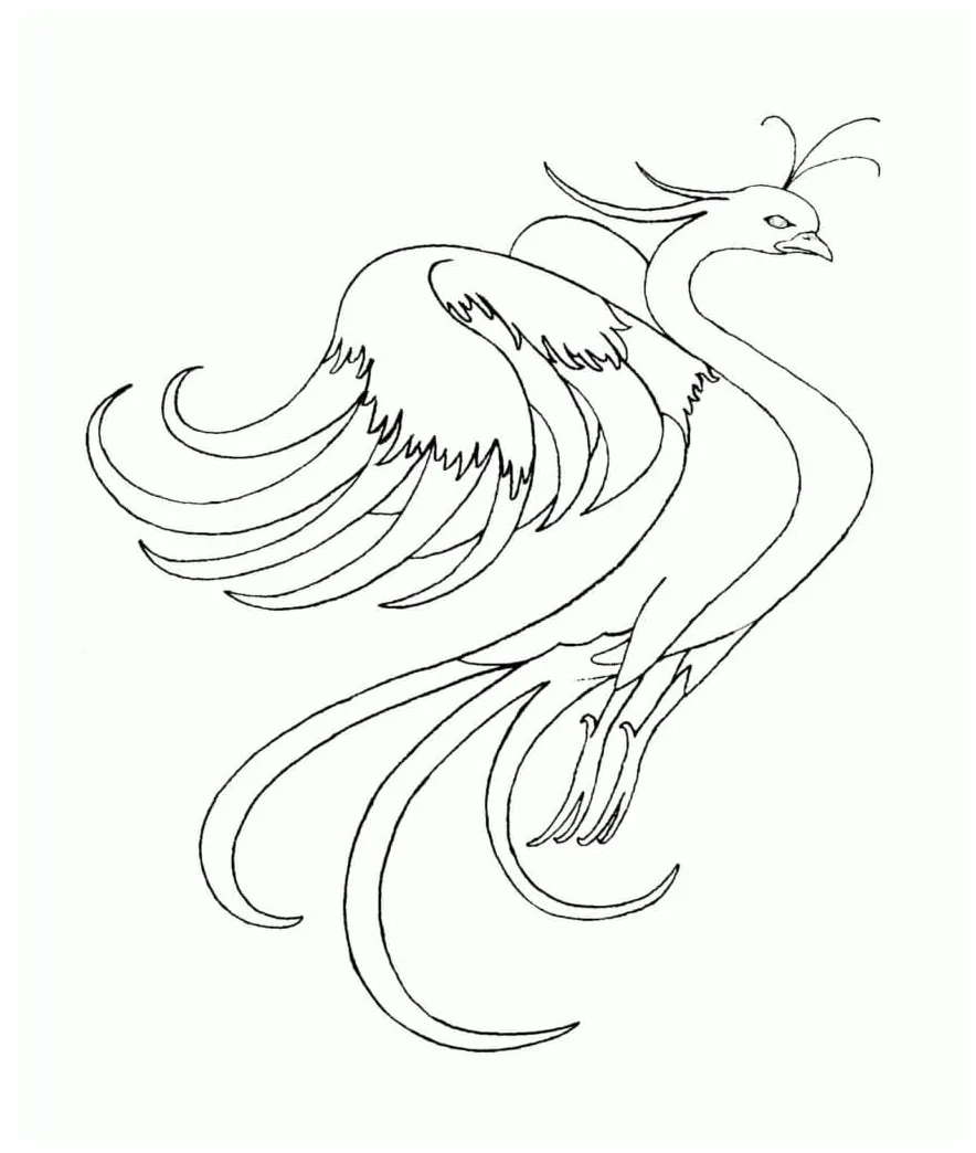 Cool Phoenix Coloring Pages - Coloring Cool