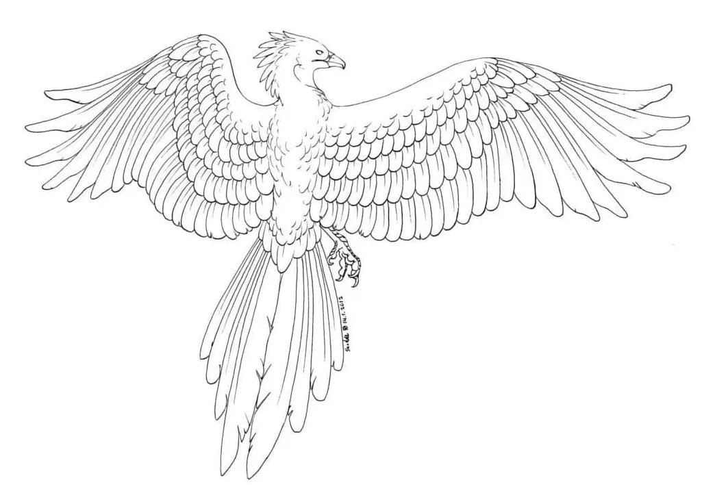 Phoenix Picture coloring page - Download, Print or Color Online for Free