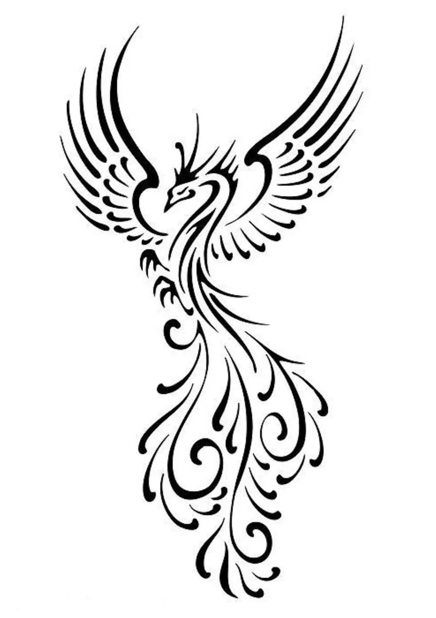 Phoenix Rising From The Ashes Drawing | Free download on ClipArtMag