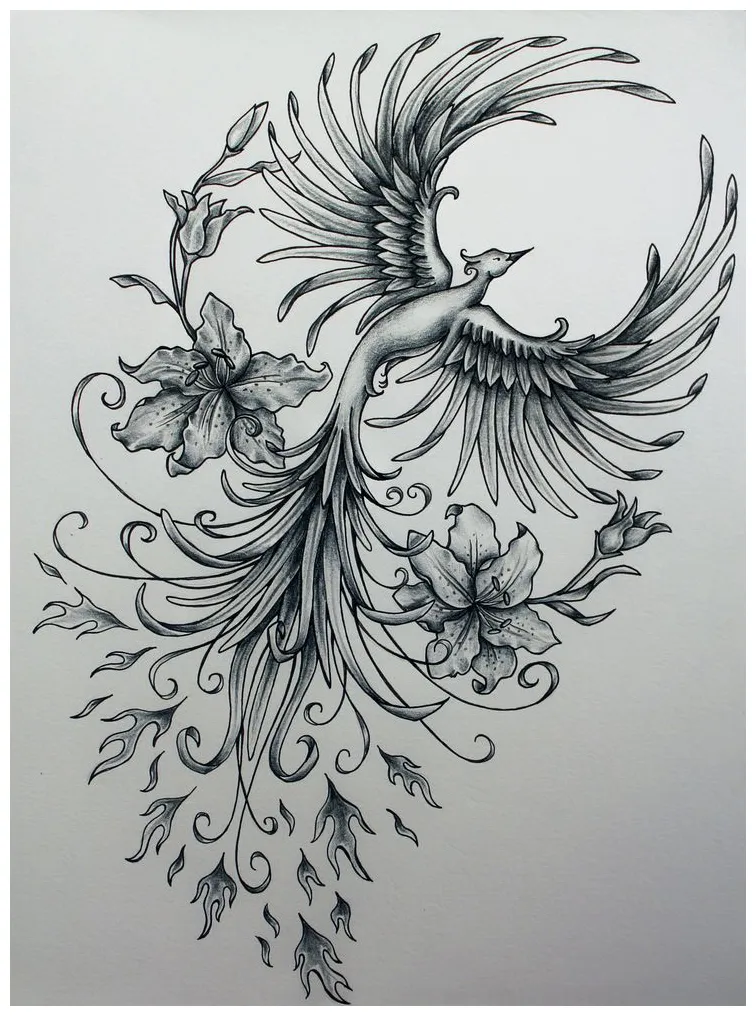 Phoenix rising from the ashes drawing at paintingvalley explore