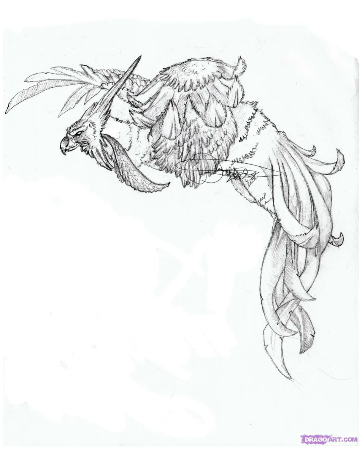 Phoenix Rising From The Ashes Drawing at PaintingValley.com | Explore