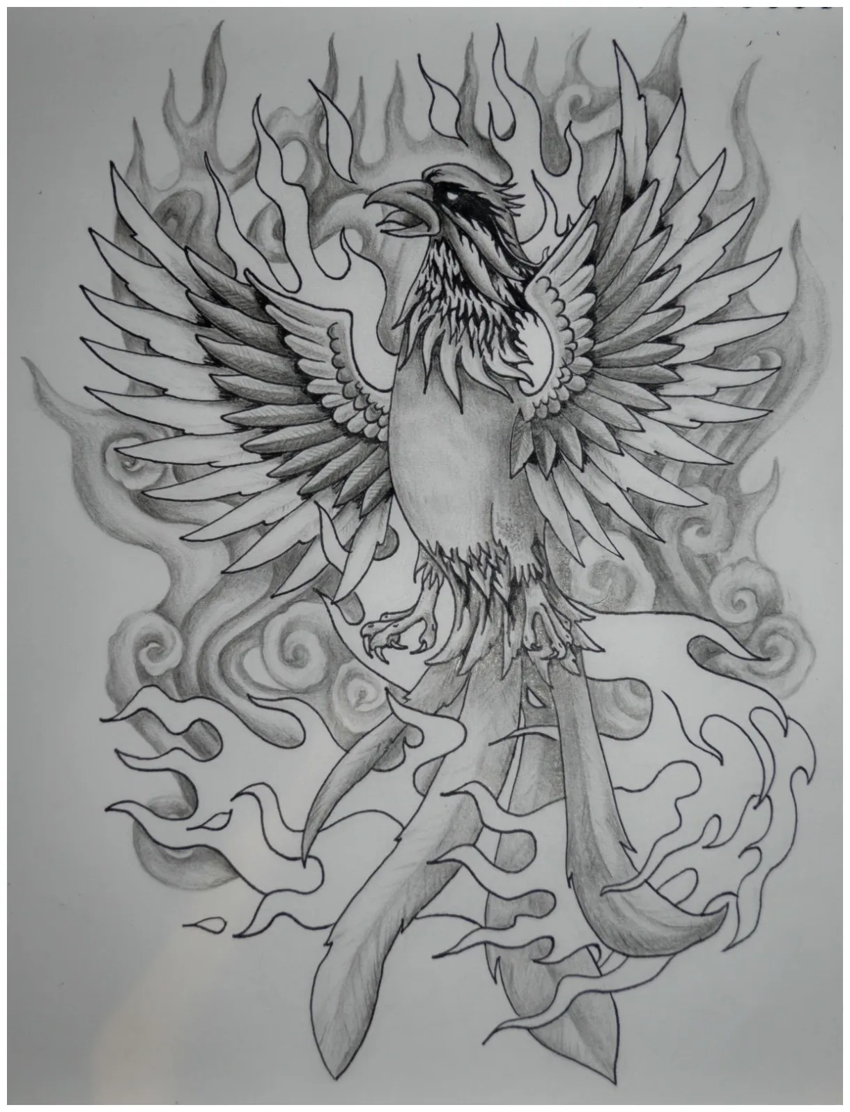 Phoenix rising from the ashes drawing at paintingvalley explore