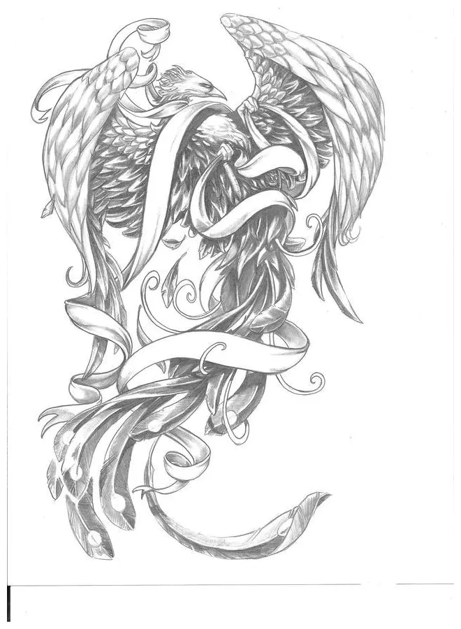 Phoenix Rising From The Ashes Drawing at PaintingValley.com | Explore