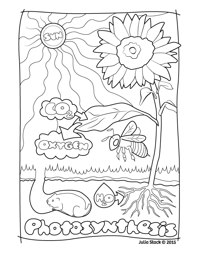 Synthesis coloring page at getcolorings free printable