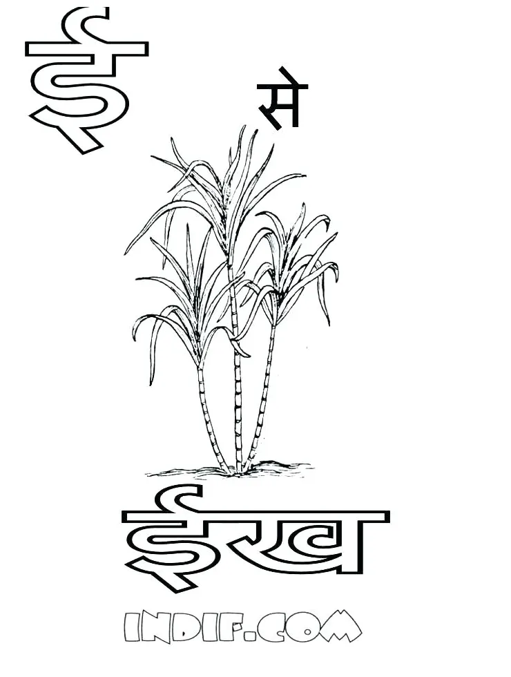 Synthesis coloring page at getcolorings free printable