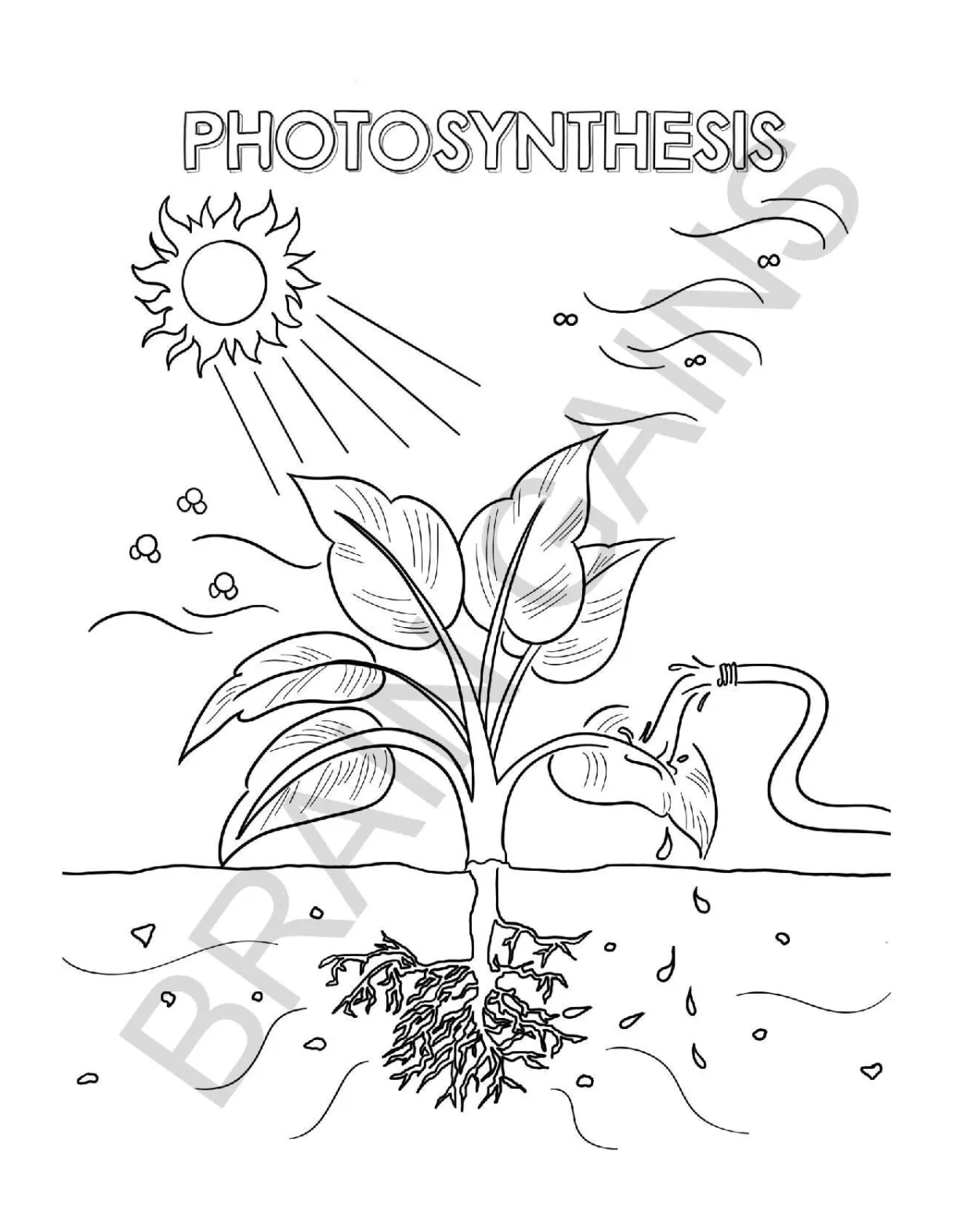 Synthesis coloring worksheet engaging activities for
