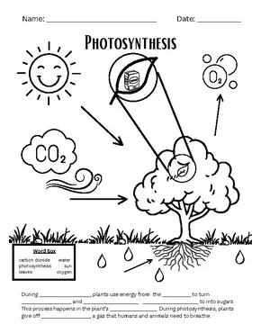 Synthesis coloring page by mrs bertine tpt