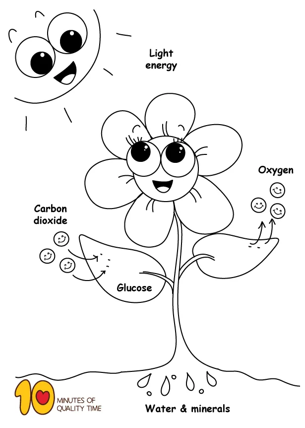 Synthesis coloring page science activities for kids