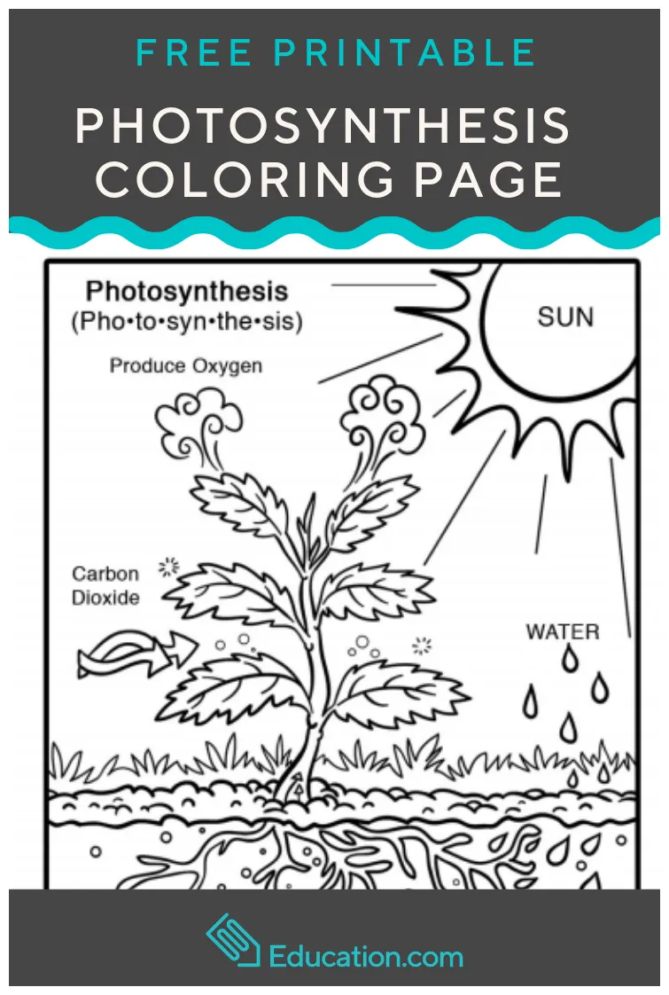 Synthesis coloring page artofit
