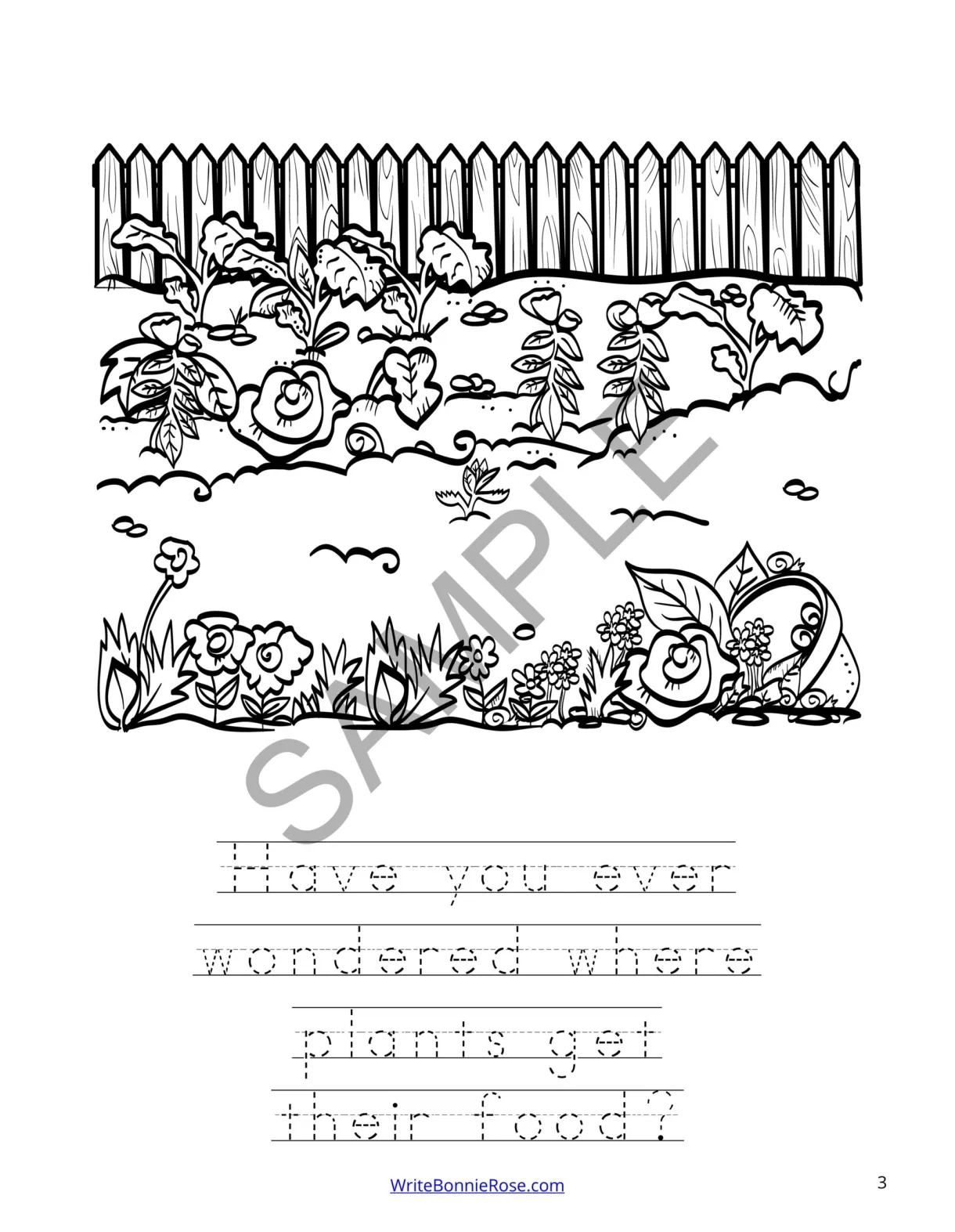 Synthesis coloring worksheet engaging activities for