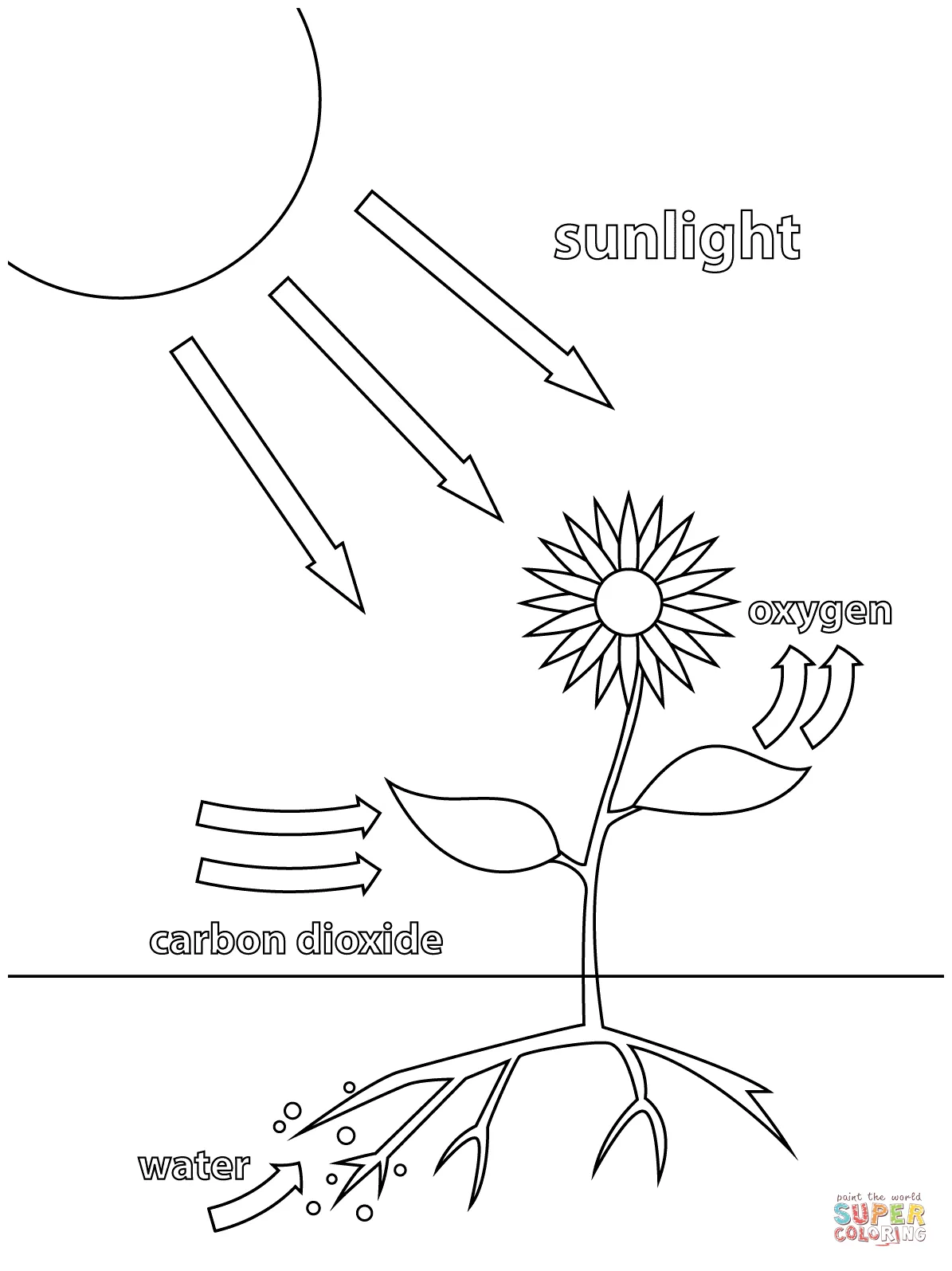 Synthesis coloring page free printable coloring pages