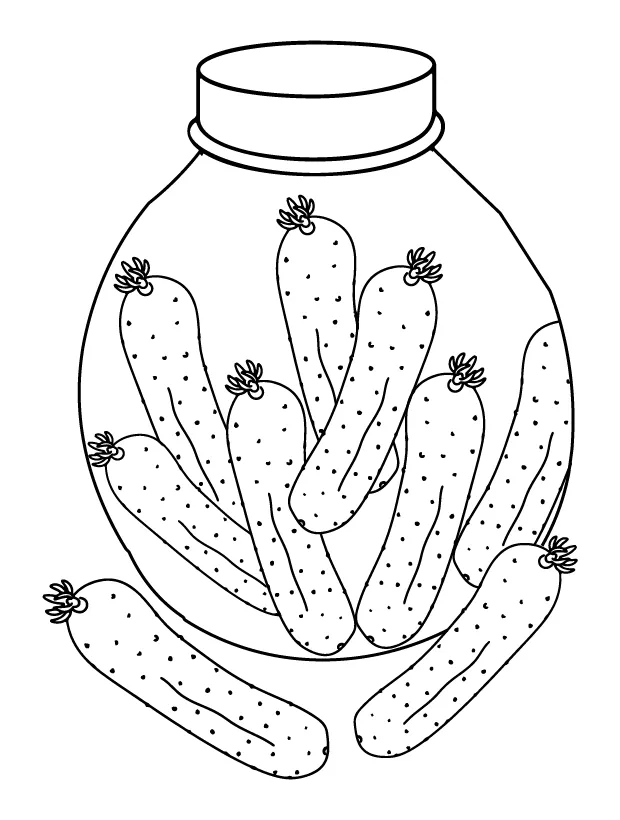 Vinegar pickle jar illustration