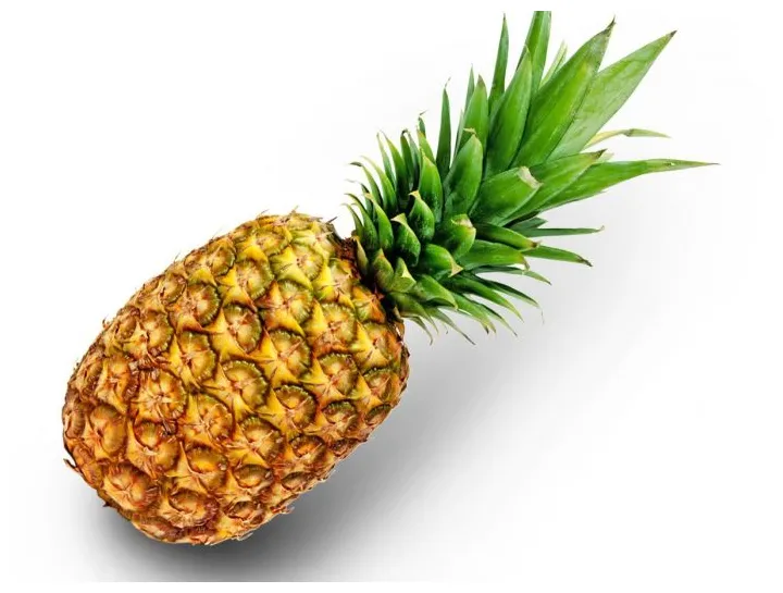 11 amazing benefits of pineapples organic facts