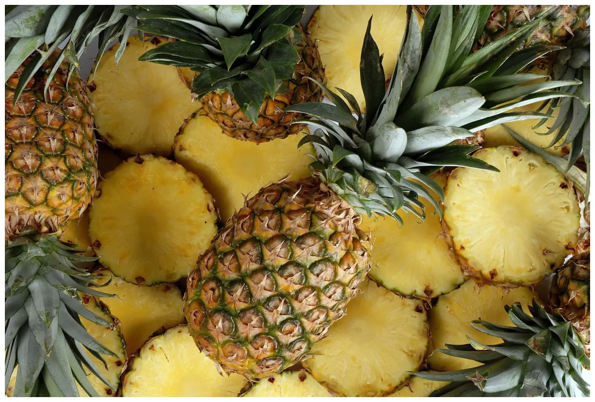 Download pineapple plant fruit slices graphy picture s