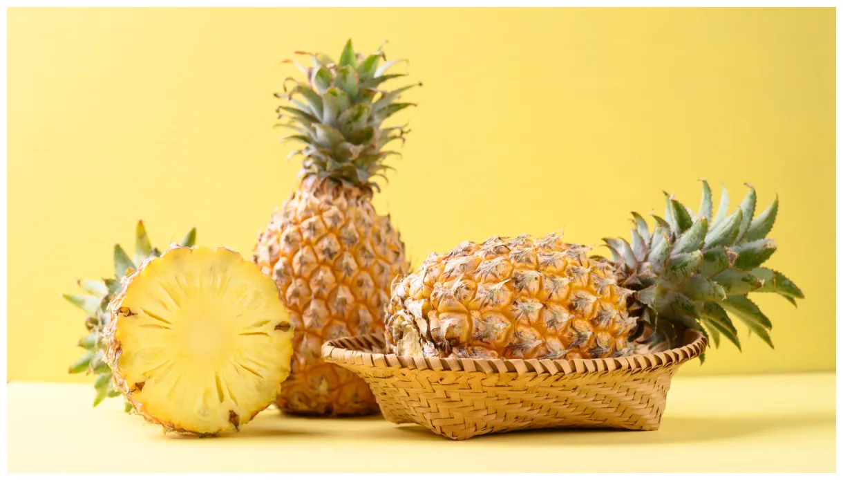 Pineapple kingdom at sandra raines blog printable coloring page