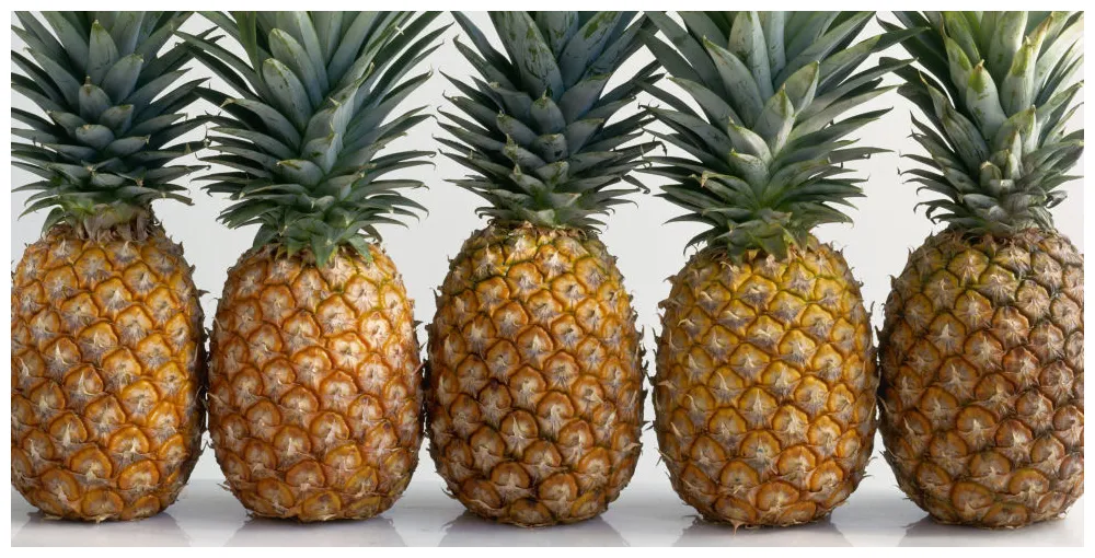 Pineapple