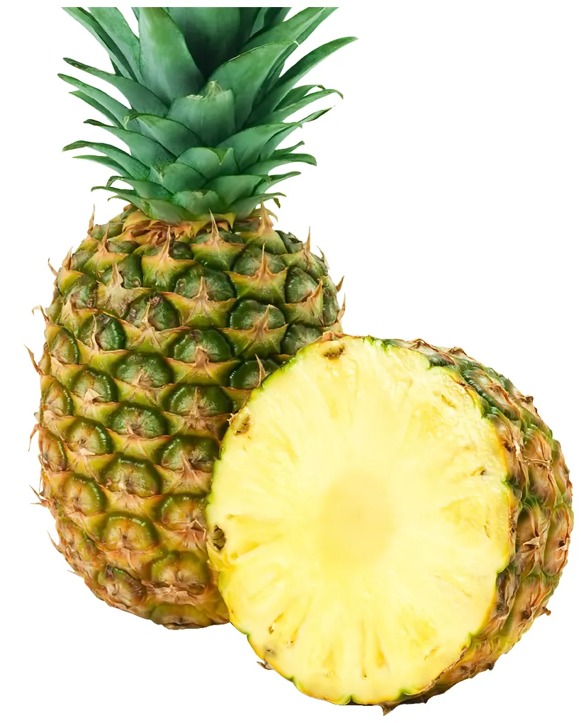 Pineapple png transparent pineapple s. pluspng